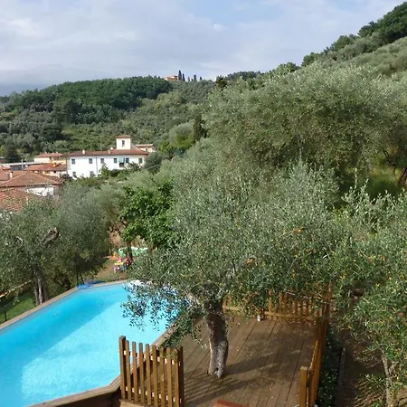 Casa Brunero Massarosa
